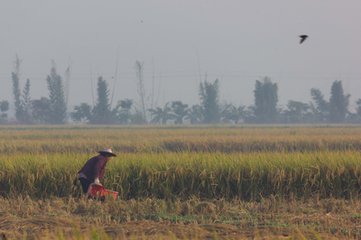 t01b7161584949b1128.jpg
