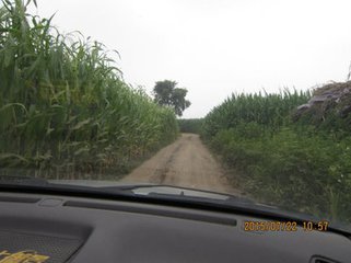 t0125f4e4d0531ab069.jpg