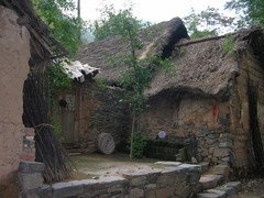 t01912157beb7a84a64.jpg