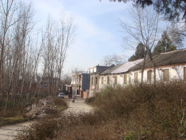 杨沟村东