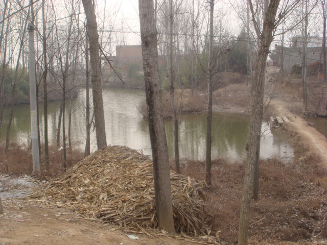 DSC05369.JPG