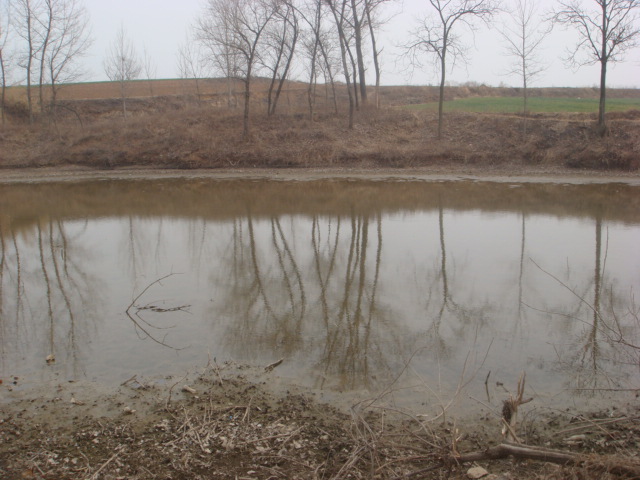 DSC05370.JPG