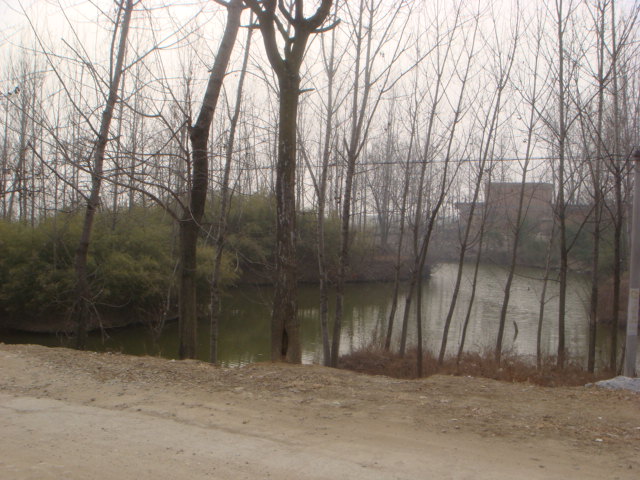 DSC05376.JPG