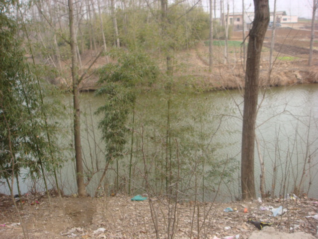 DSC05383.JPG