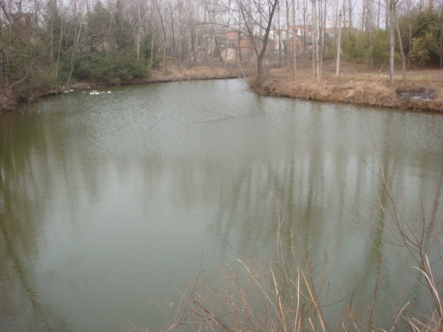 DSC05384.JPG
