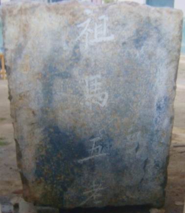 始祖马五老碑2