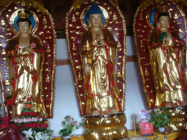 DSC09845.JPG