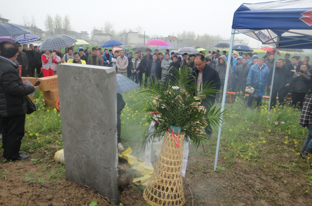 2015清明节5.jpg