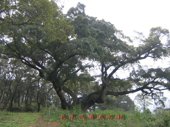 201241814262930756.jpg