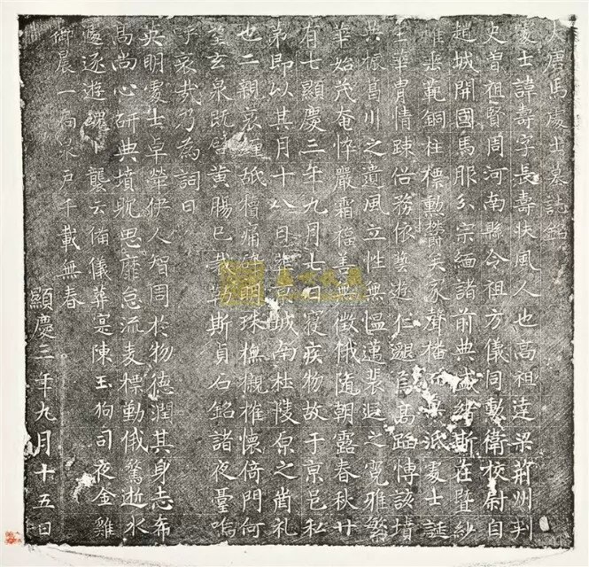 psb (13).jpg