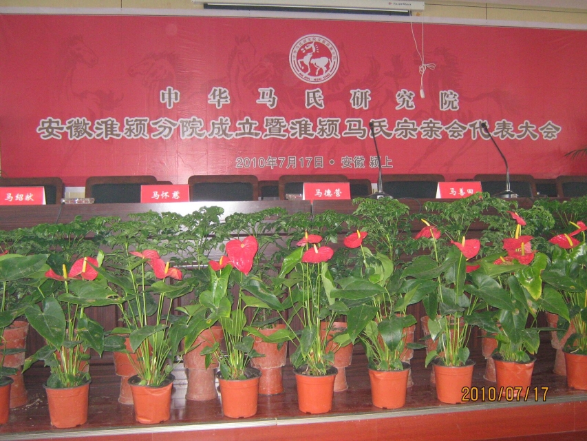 psb (32).jpg