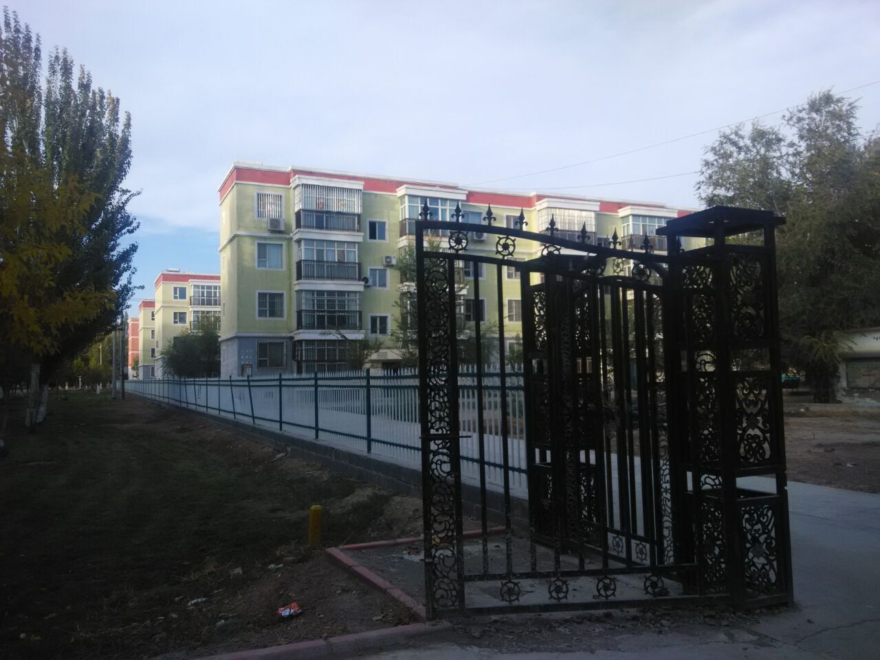 46.jpg