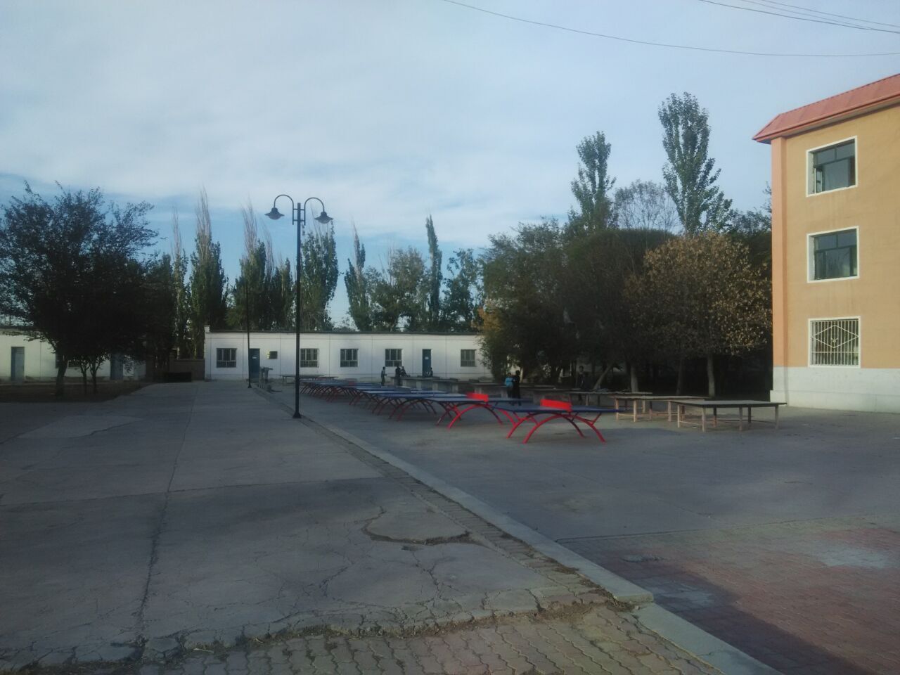 51.jpg