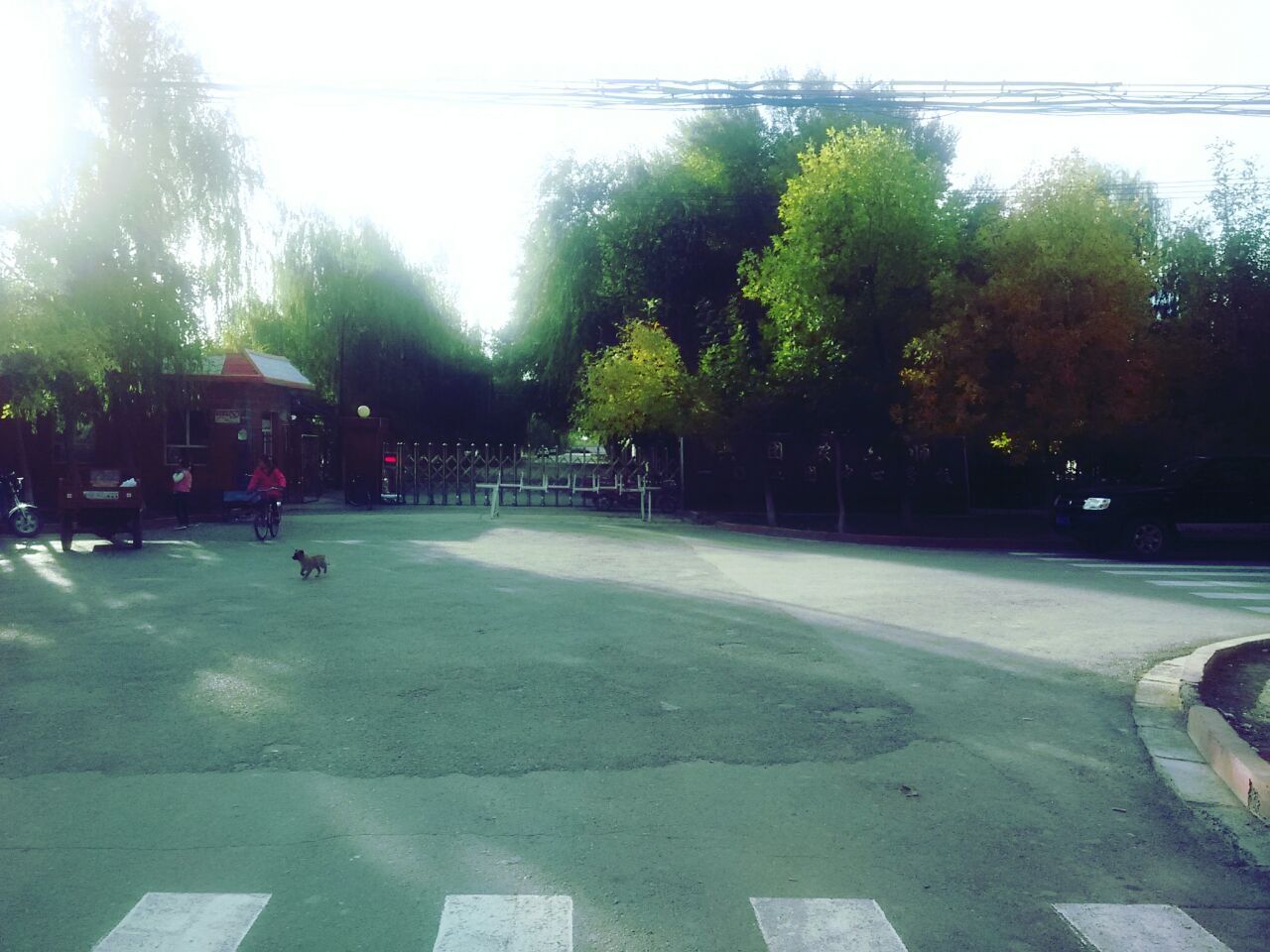 67.jpg
