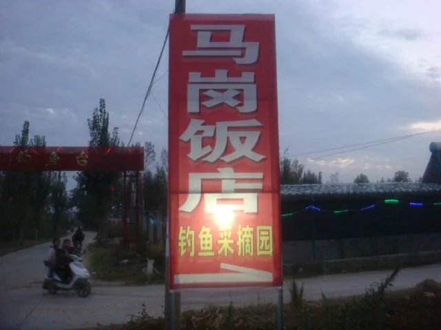 46.jpg